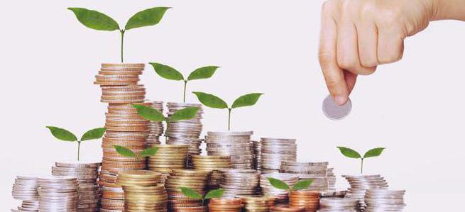 Comment calculer les dividendes LLC