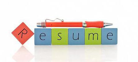 exemple de directeur de la construction des travaux de génie civil