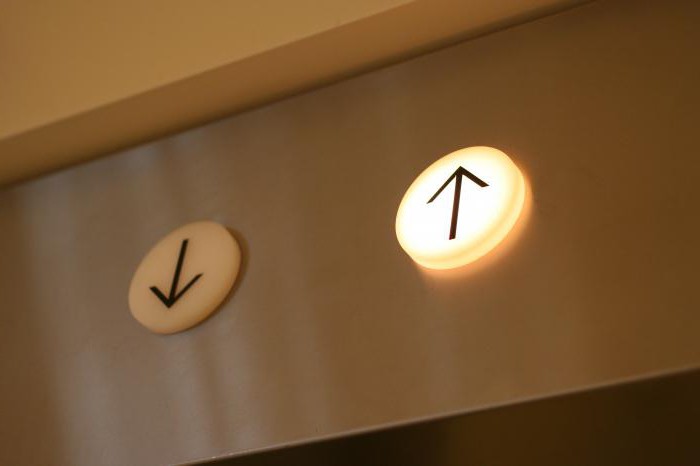 signification du mot théorie