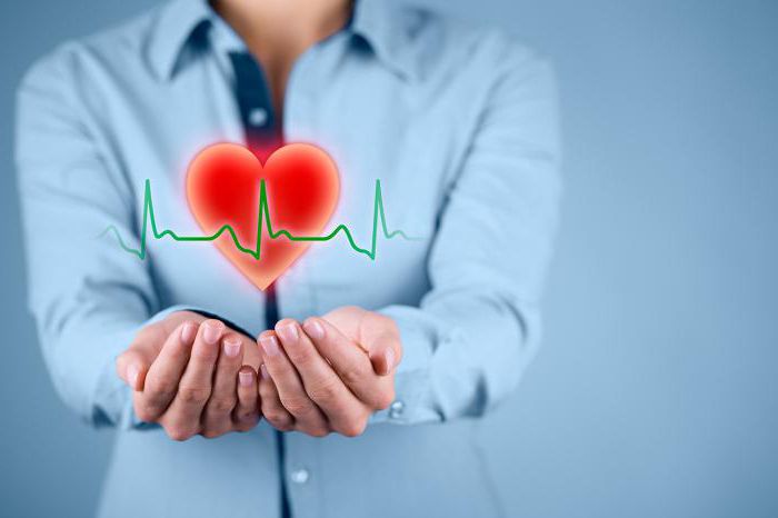 How to choose an Oms insurance company