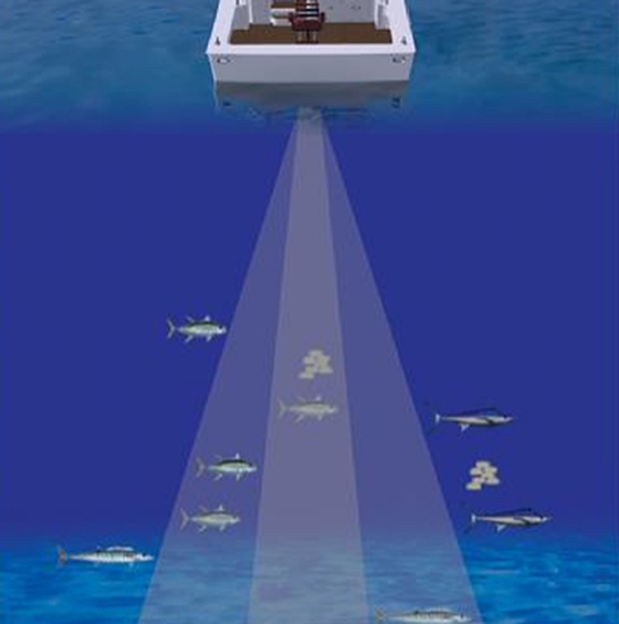 comment choisir un détecteur de poisson