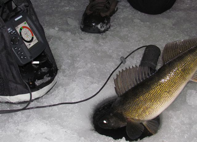 comment choisir un détecteur de poisson pour la pêche en hiver