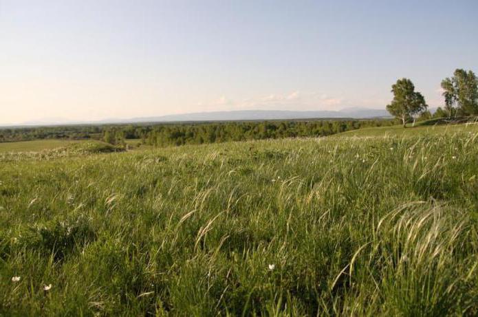 décret foncier de 1917