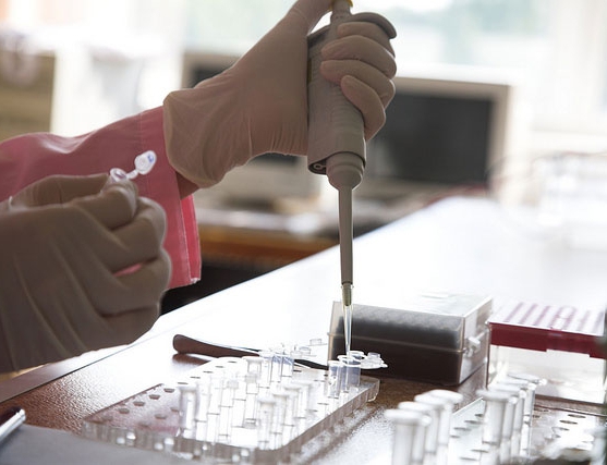 Examens génétiques coût, conditions