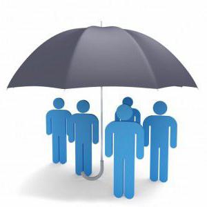 assurance compagnie d'assurance politique