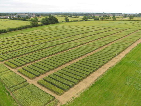 la terre comme objet de propriété