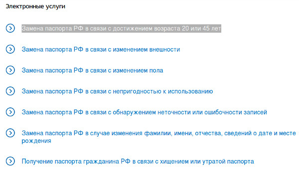 Services gouvernementaux et remplacement de passeport