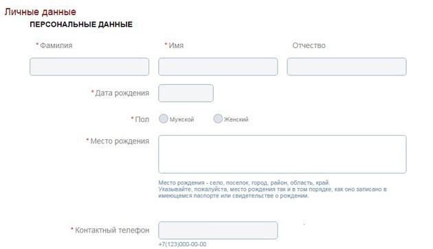 Remplacer un passeport par les services publics