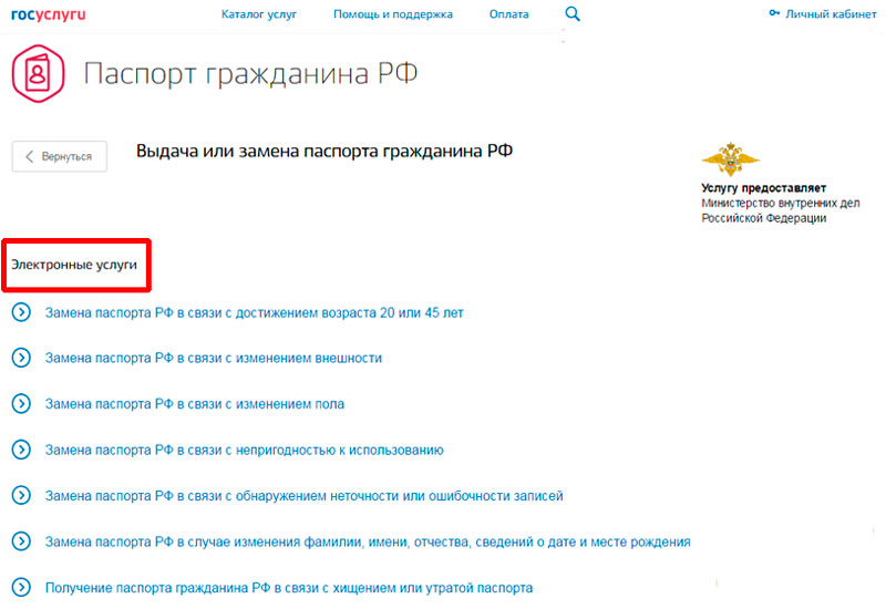 Remplacement du passeport en cas de perte