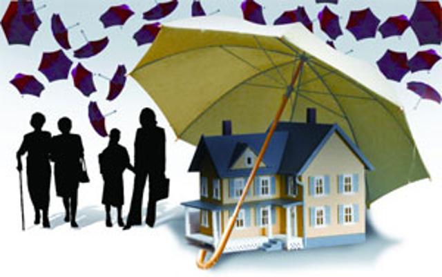 ratio of own and borrowed funds