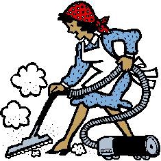 Choose a washing vacuum cleaner for the home