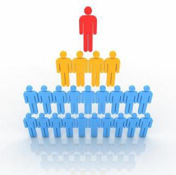 Structures organisationnelles fonctionnelles et divisionnaires