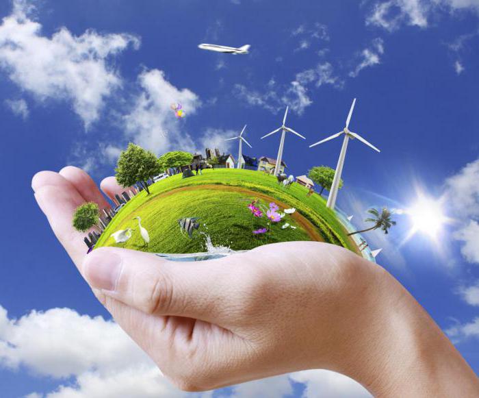 Audit environnemental