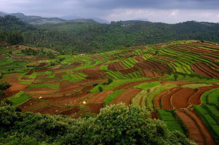 Utilisation des sols et développement
