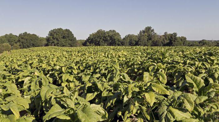 Impôt sur le revenu en Chine