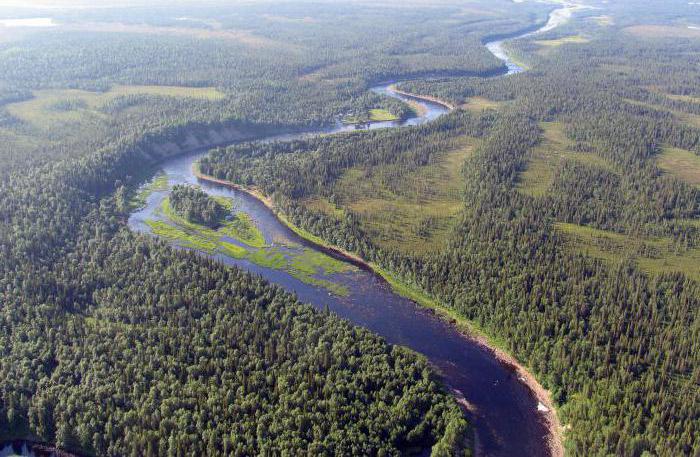 Complexe de l'industrie du bois
