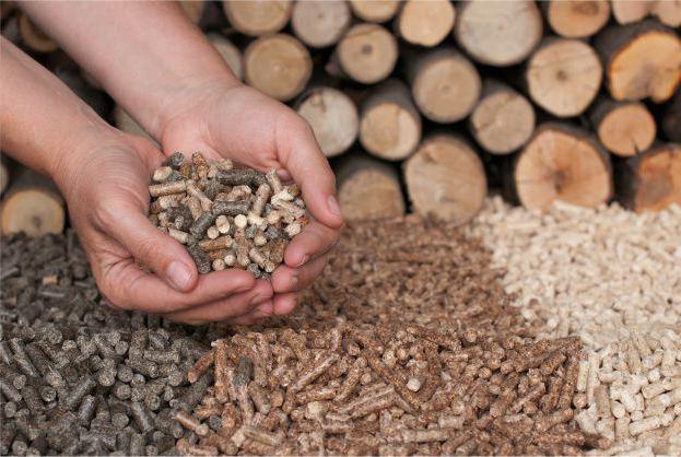 Perspectives pour l'industrie du bois