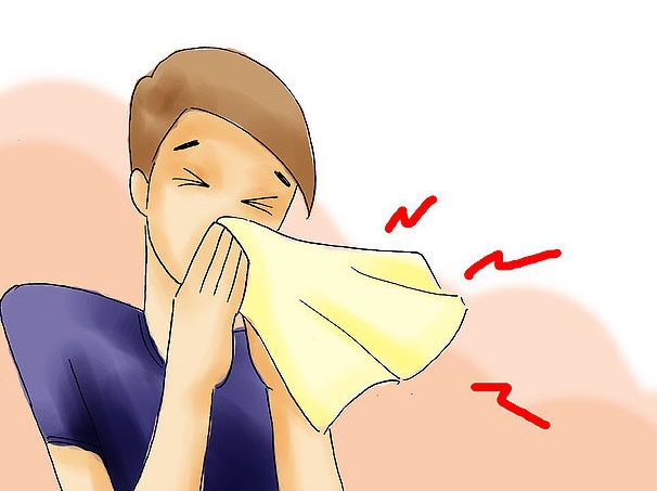 basic rules of conduct