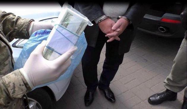 saisie de ses types et des différences de la recherche