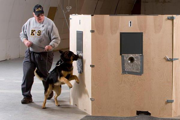 le concept d'entaille et sa différence par rapport à une recherche