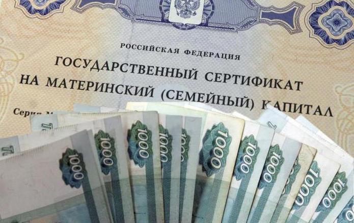 fraude de maternité