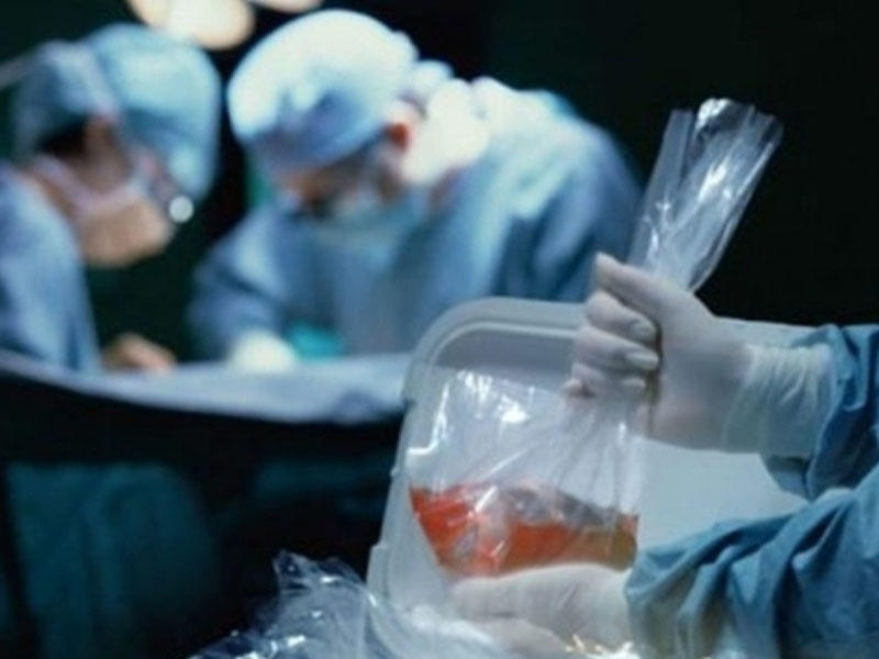 Conservation des donateurs