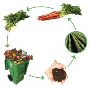 exemples de production sans déchets