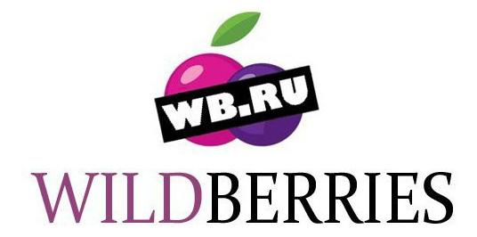 largest it companies in Russia