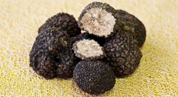 agricultural investment statistics