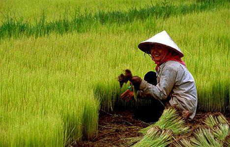 government investment in agriculture