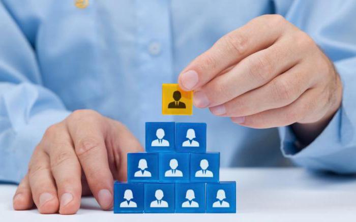 principes d'organisation des entreprises