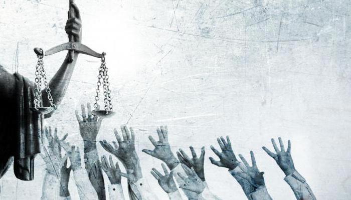 principes de la procédure constitutionnelle