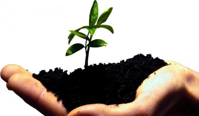 startups avec un investissement minimal en Russie