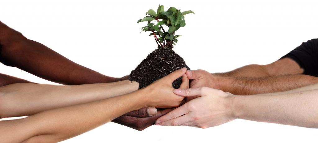 obtenir un voyage gratuit sur les OSN