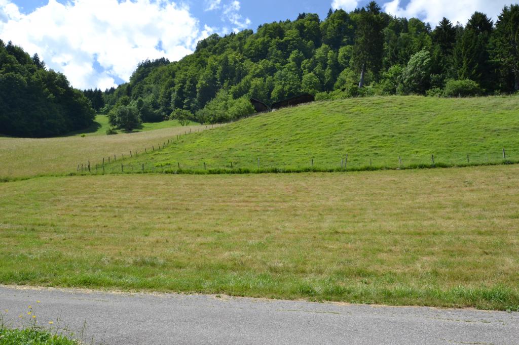 Earth as the only source of human habitat