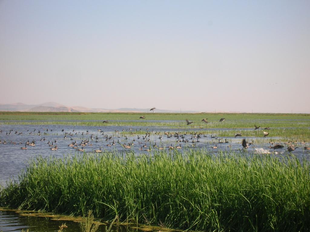 Fonds de l'eau pour le loyer