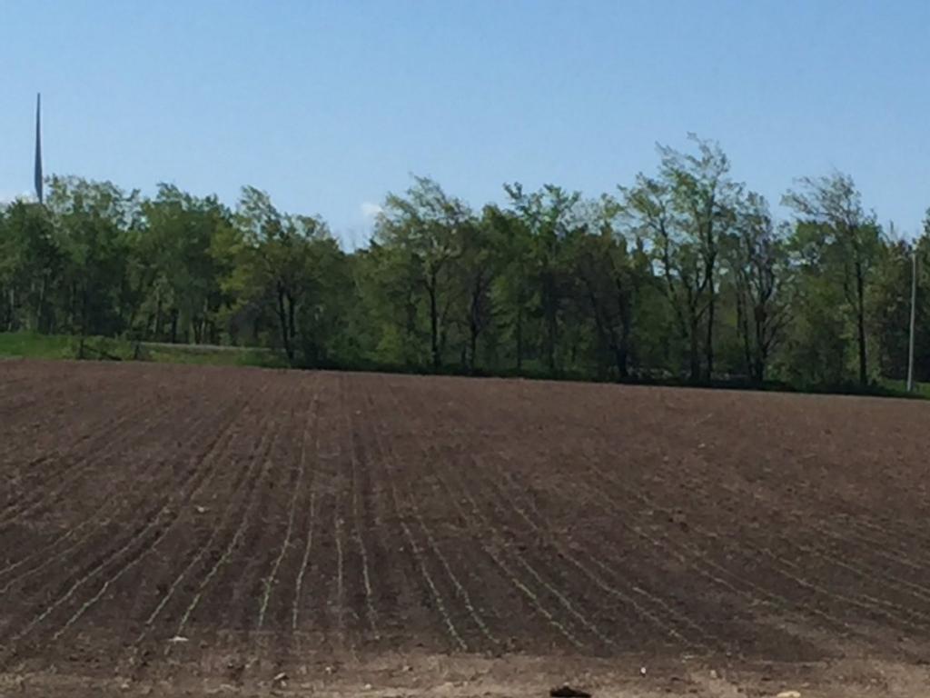 Formation d'un terrain multi-courbes