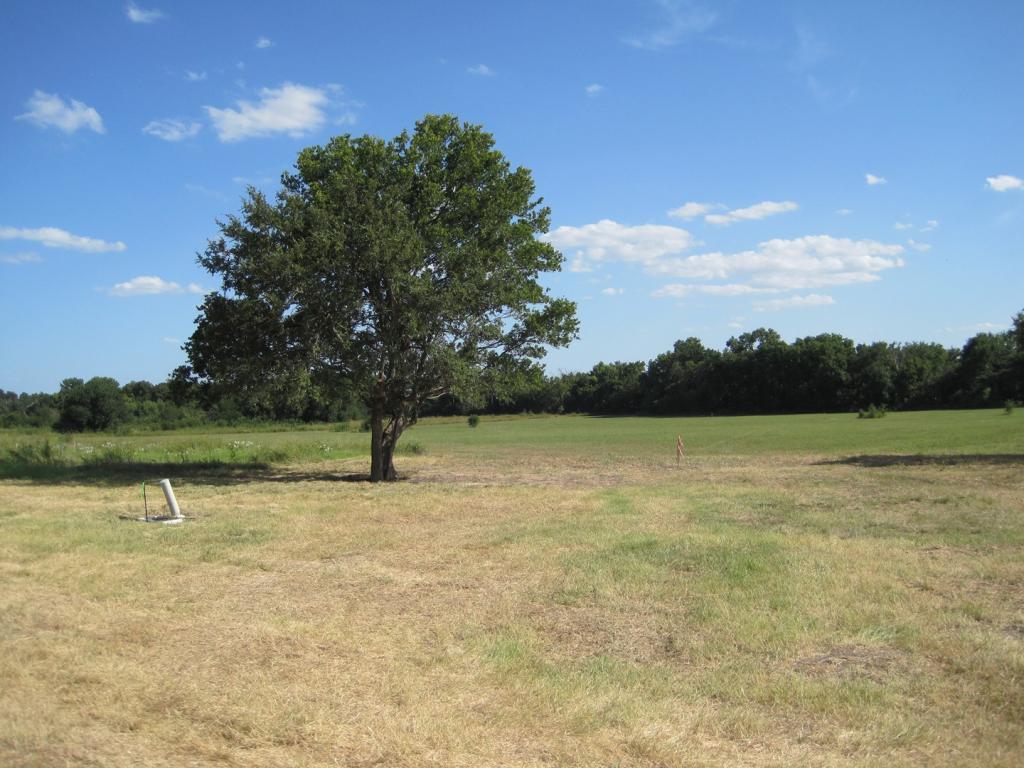 taille minimale et maximale des terres