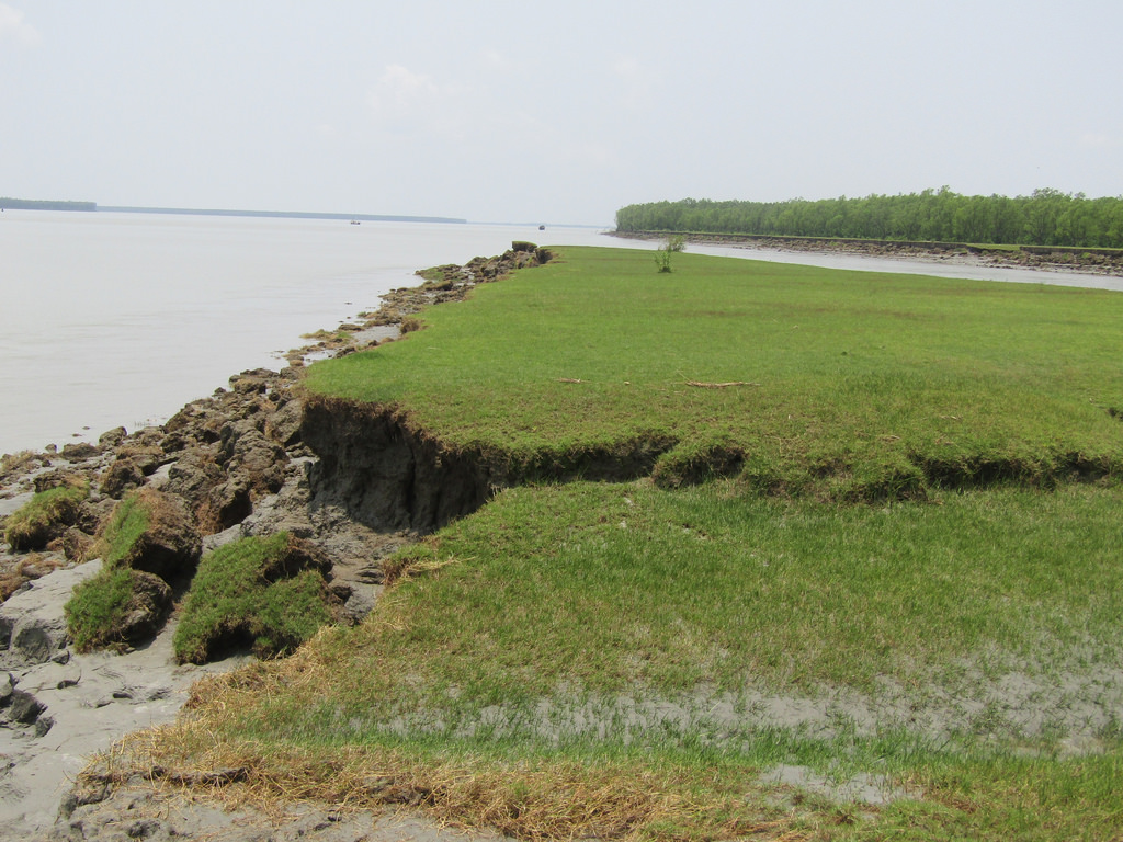 Allocation et division de terres