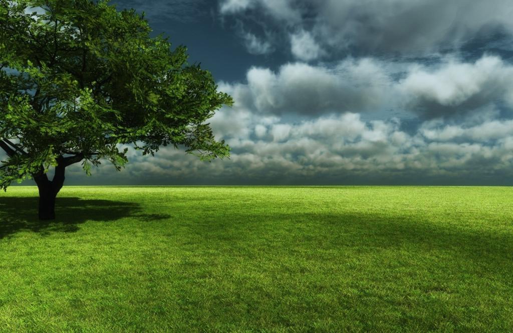 Procédure d'attribution des terres