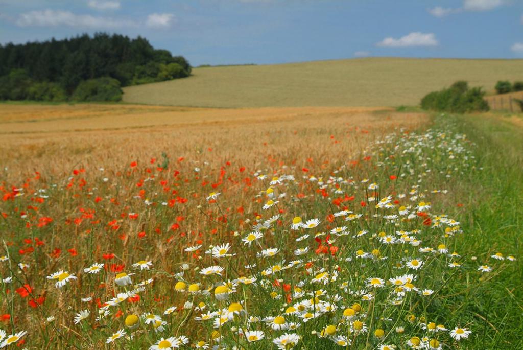 Accord sur la détermination de l'utilisation des terres