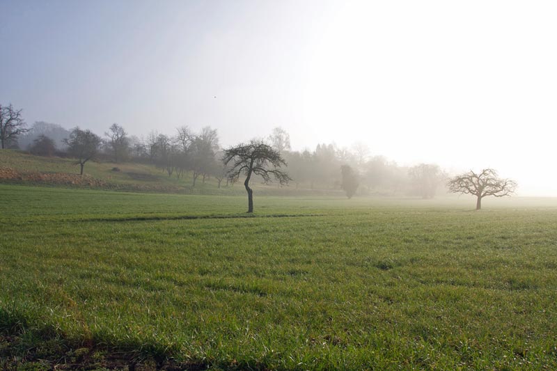Décision sur la détermination de la procédure d'utilisation du terrain