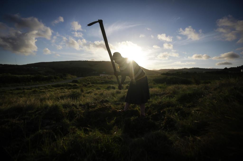 Article 80 du code du travail de la Fédération de Russie