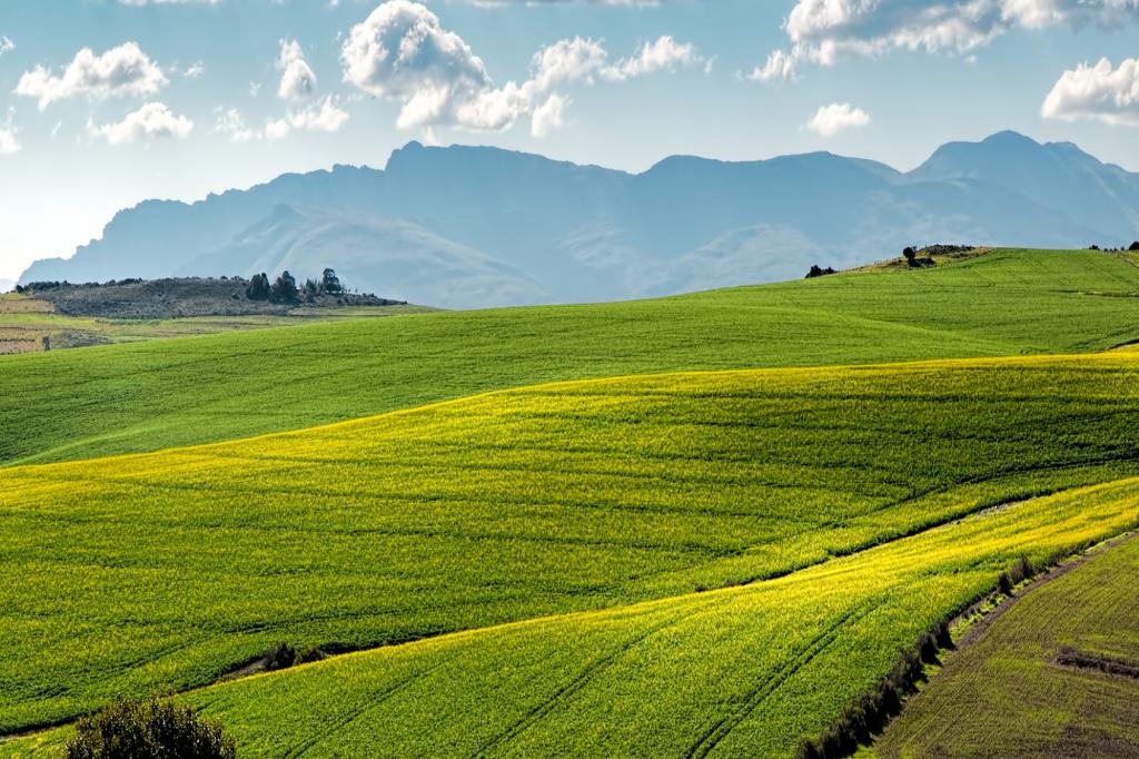 Gestion des terrains en stock