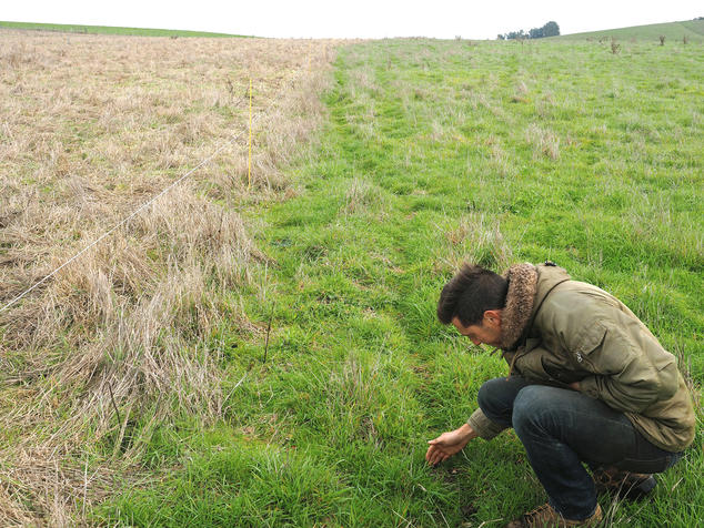 Formulaire d'approbation préliminaire