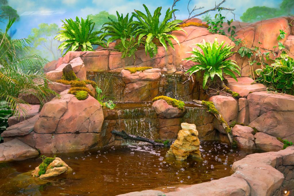 commentaires aquarium jungle