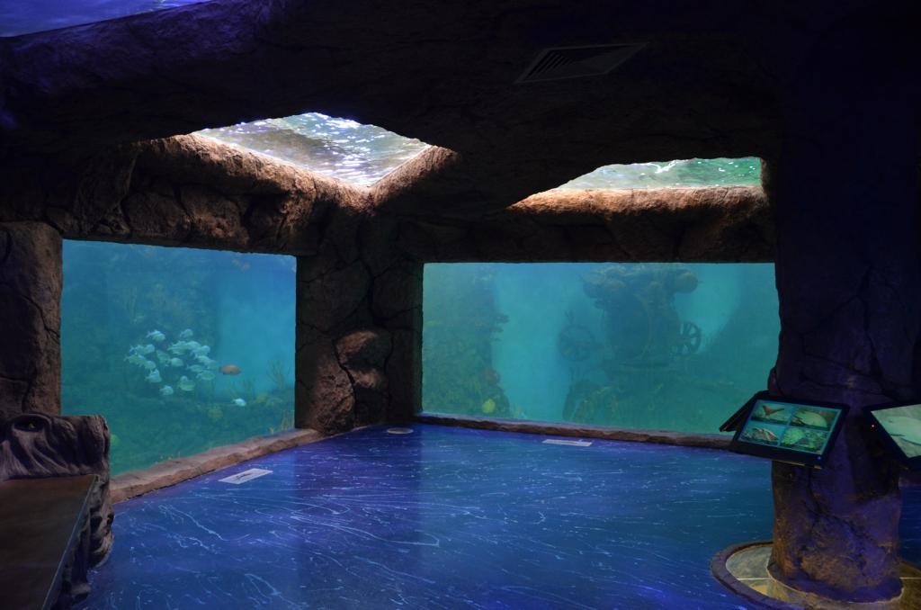 ville de crocus à Moscou