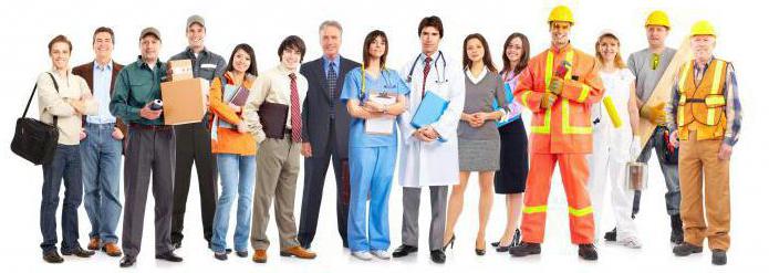 the average number of employees is