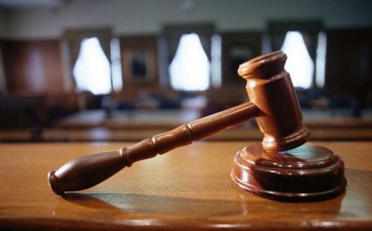 legal liability for environmental offenses