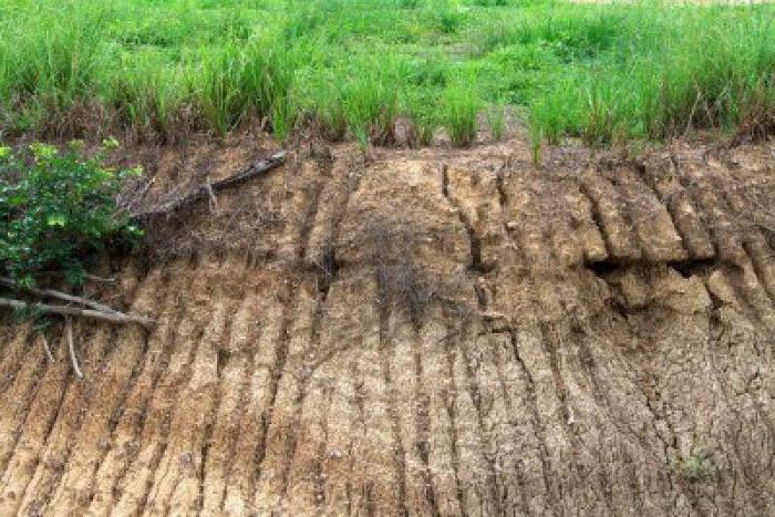 valorisation biologique des terres